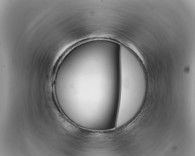 X0000090781124200707201129
