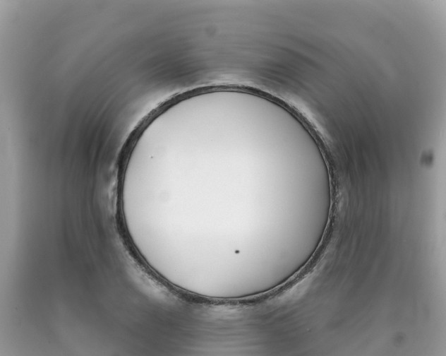 X0000090781126200707201129