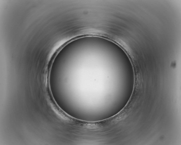 X0000090781128200707201129