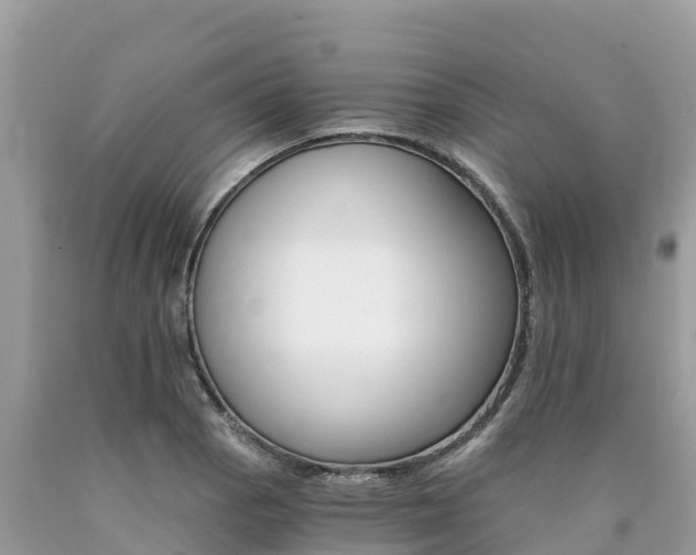 X0000090781129200707201129