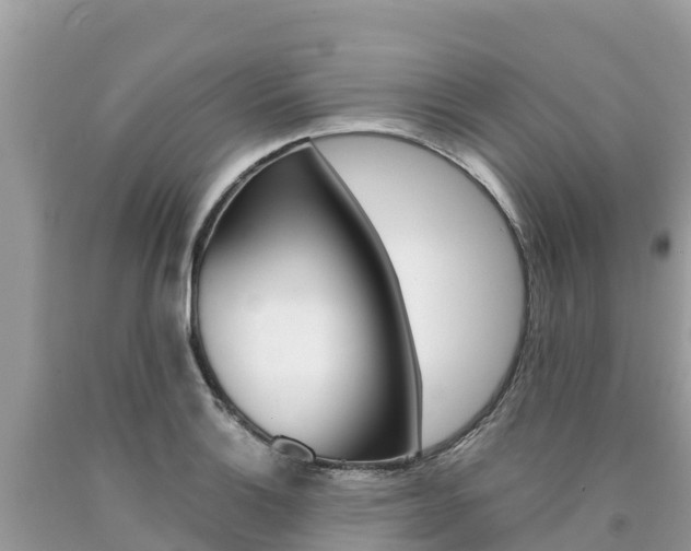 X0000090781132200707201129