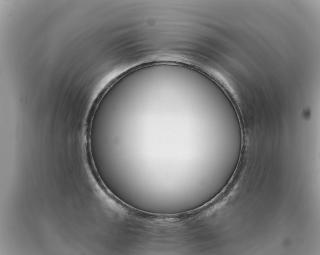 X0000090781133200707201129