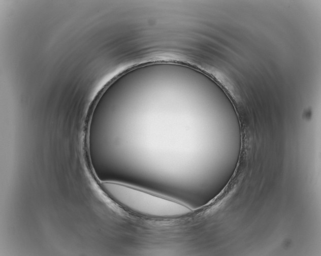 X0000090781134200707201129