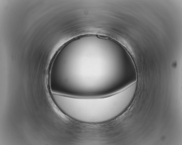 X0000090781136200707201129