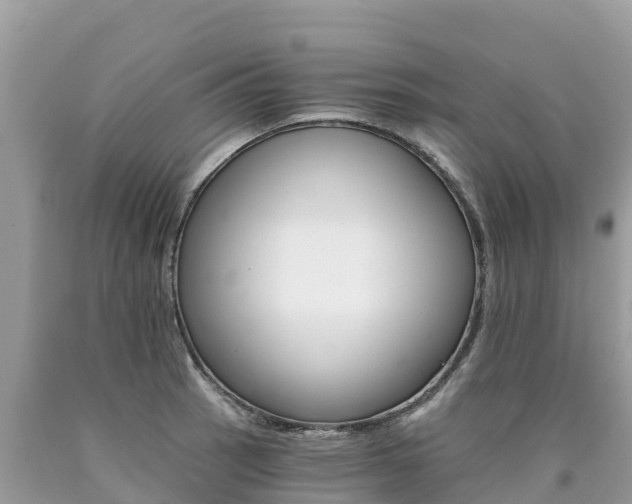 X0000090781137200707201129