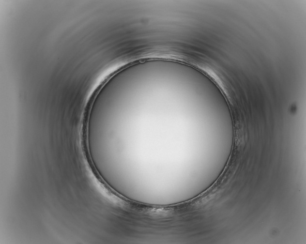 X0000090781139200707201129