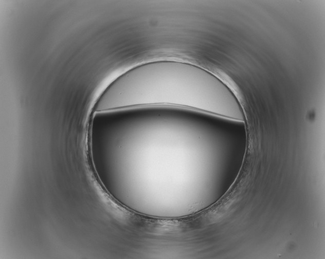 X0000090781144200707201130