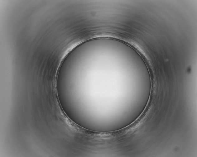 X0000090781145200707201130