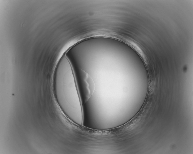 X0000090781146200707201130