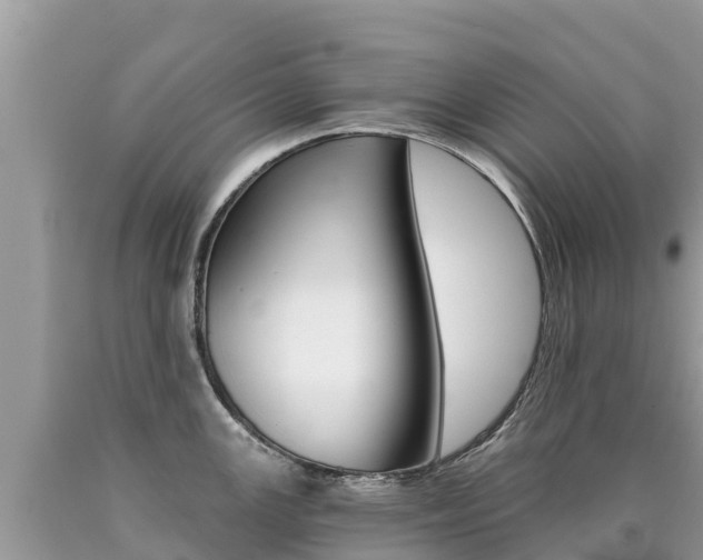 X0000090781147200707201130