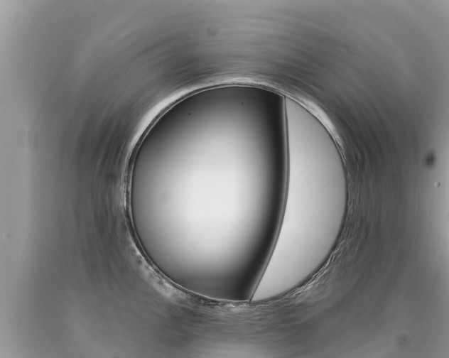 X0000090781148200707201130