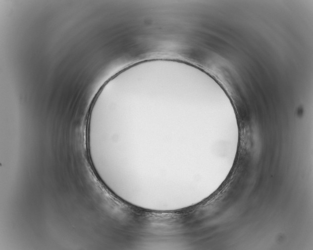X0000090781150200707201130