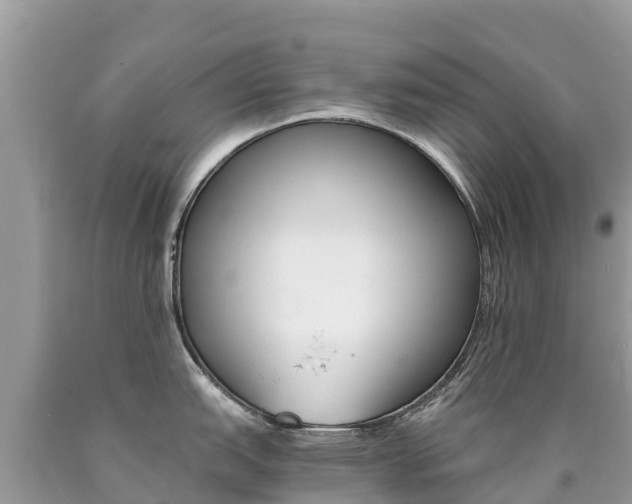 X0000090781151200707201130