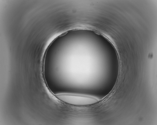 X0000090781152200707201130