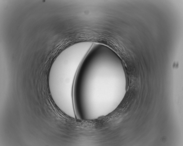 X0000090781153200707201129
