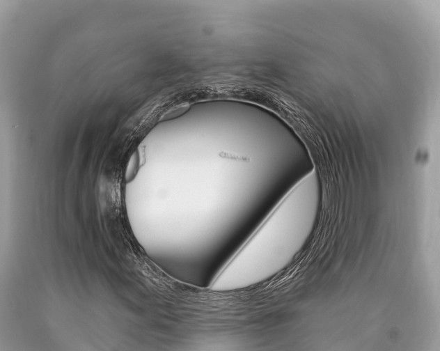 X0000090781155200707201129