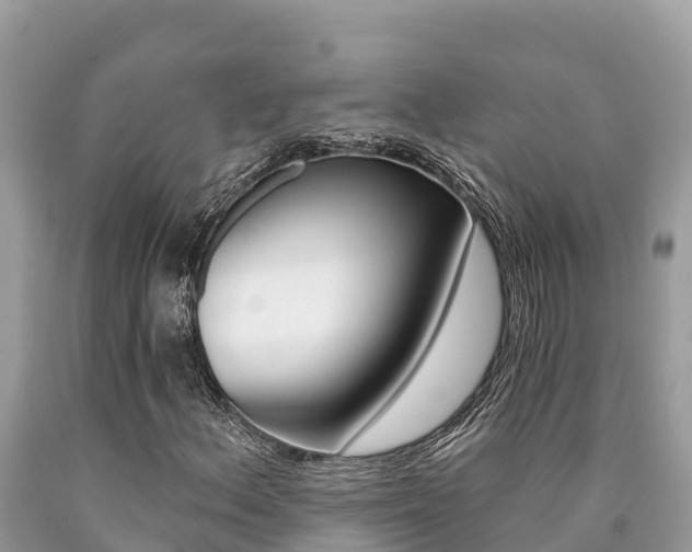 X0000090781156200707201129
