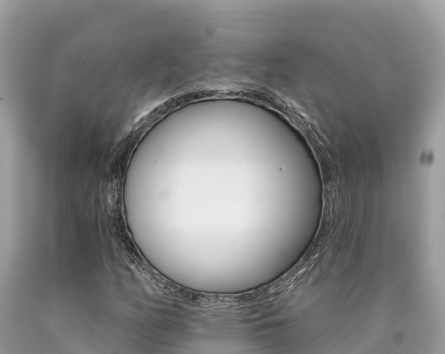 X0000090781158200707201129