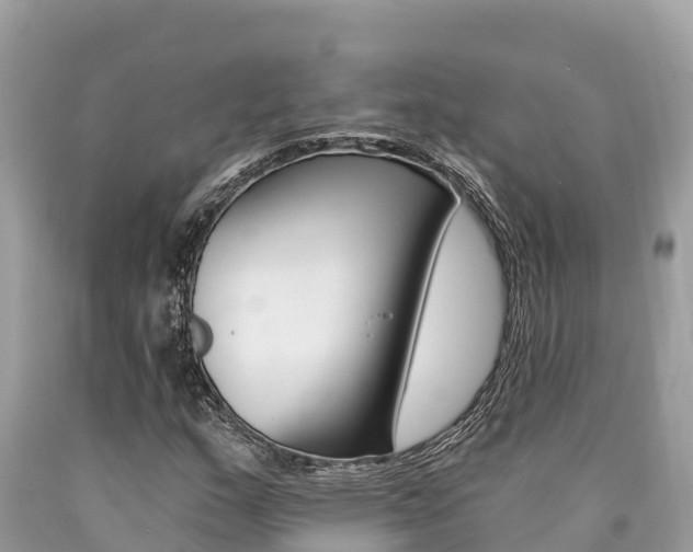 X0000090781159200707201129