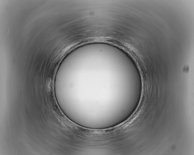 X0000090781161200707201129