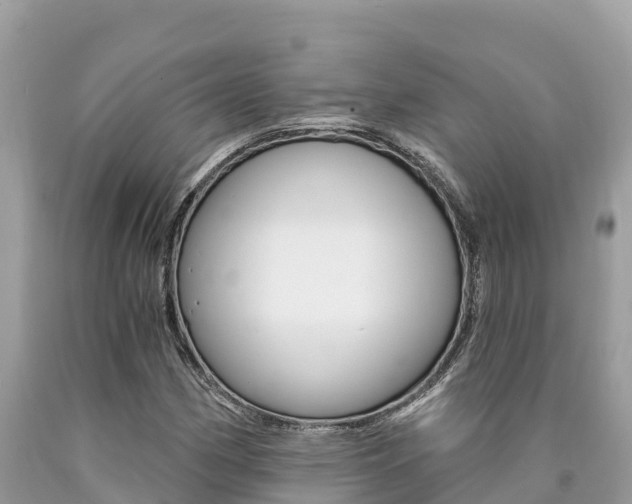 X0000090781162200707201129