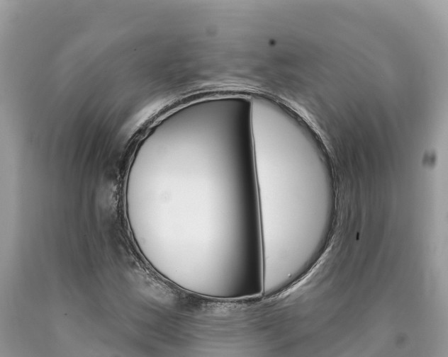 X0000090781163200707201129