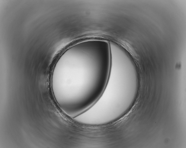 X0000090781164200707201129