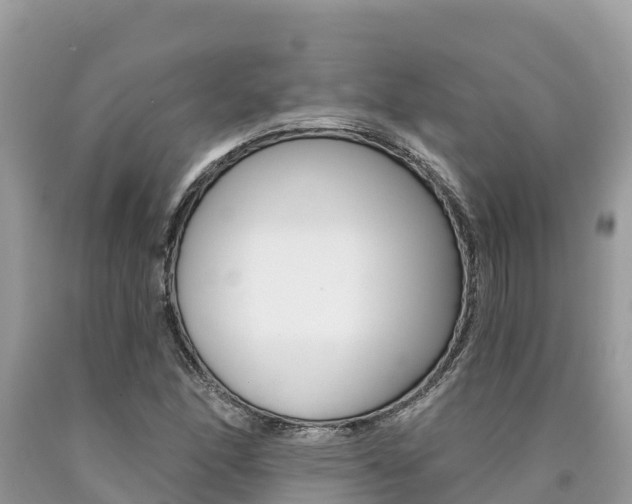 X0000090781166200707201129