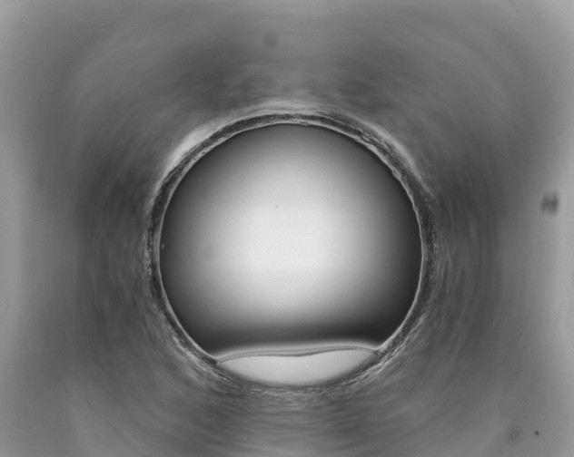 X0000090781168200707201129