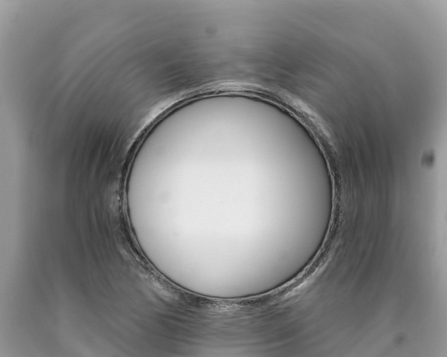 X0000090781170200707201129