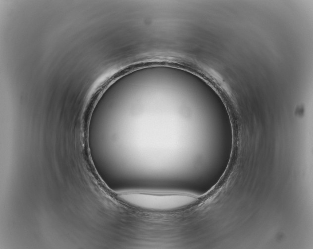 X0000090781172200707201129