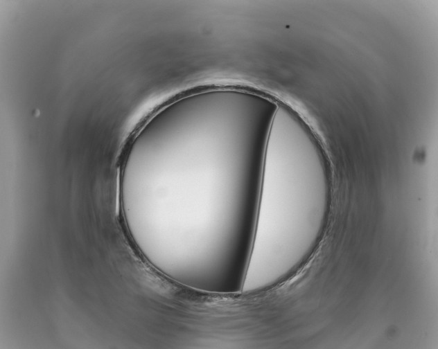 X0000090781175200707201129