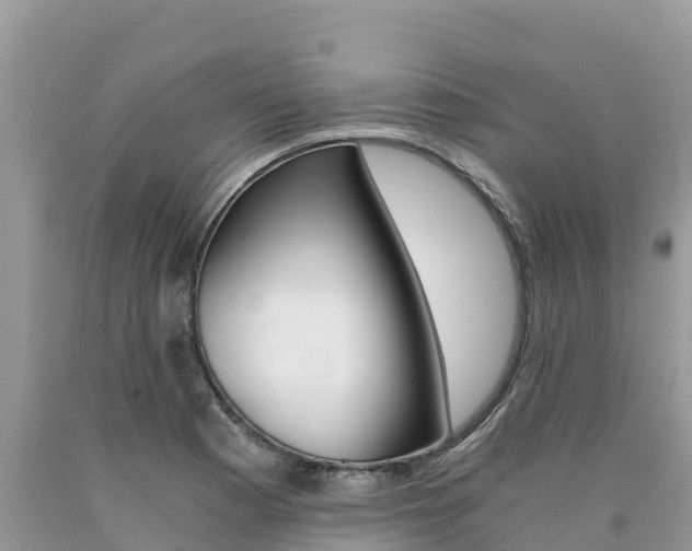 X0000090781177200707201129