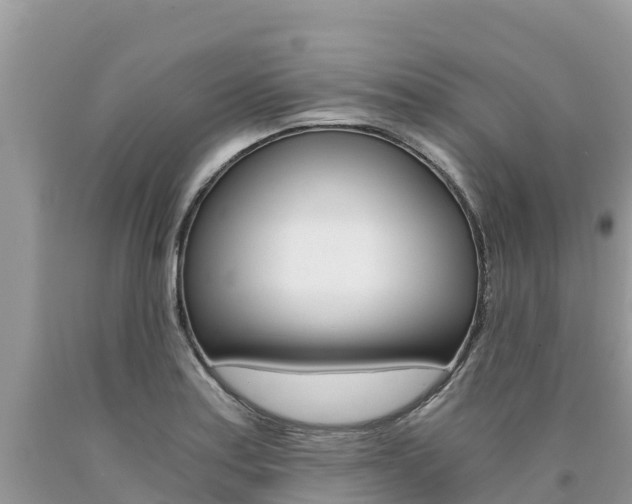 X0000090781179200707201129