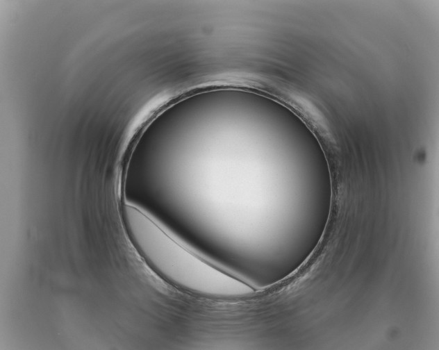 X0000090781180200707201129