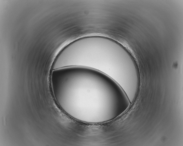 X0000090781181200707201129