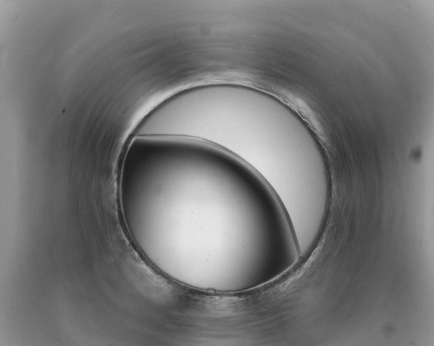 X0000090781184200707201129