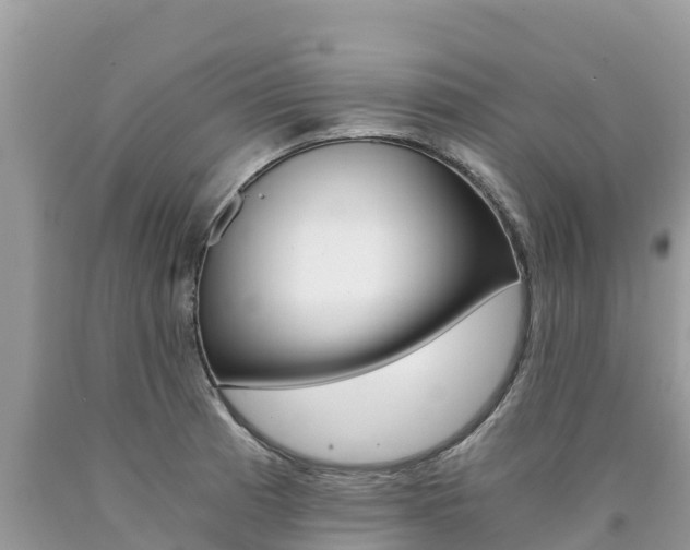 X0000090781185200707201129