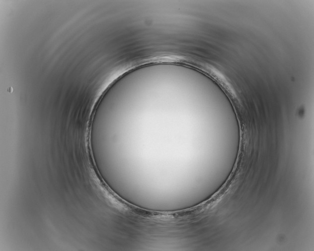 X0000090781186200707201129