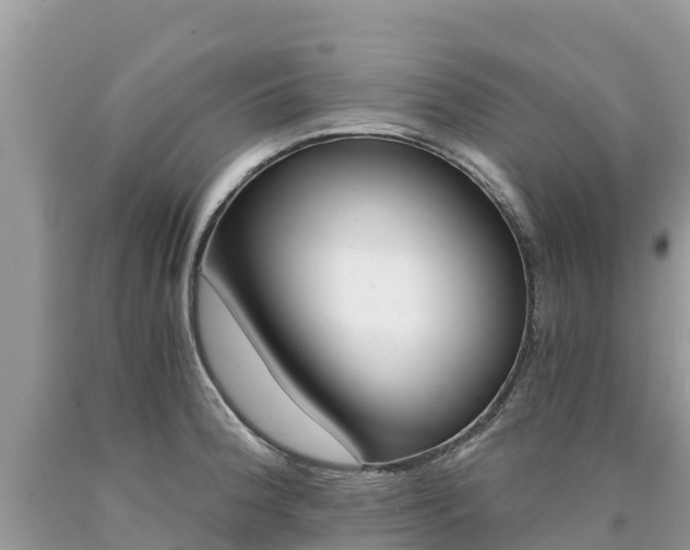 X0000090781188200707201129