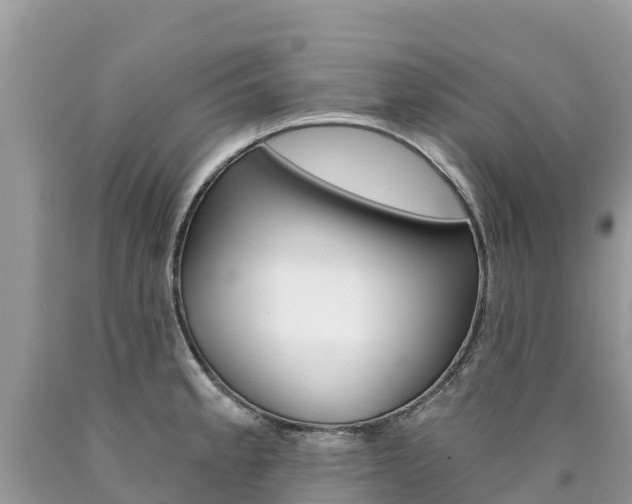X0000090781189200707201129