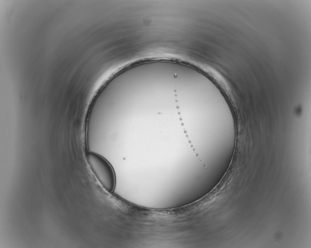X0000090781191200707201129