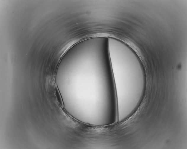X0000090781193200707201129