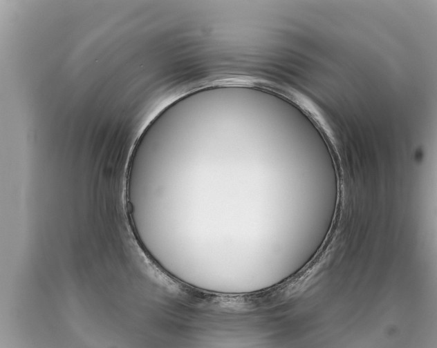X0000090781194200707201128