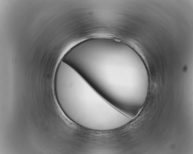 X0000090781195200707201128