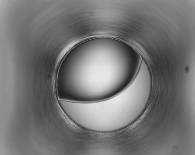 X0000090781196200707201128