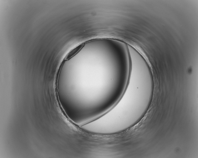 X0000090781197200707201128