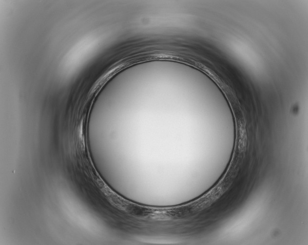 X0000090781198200707201128