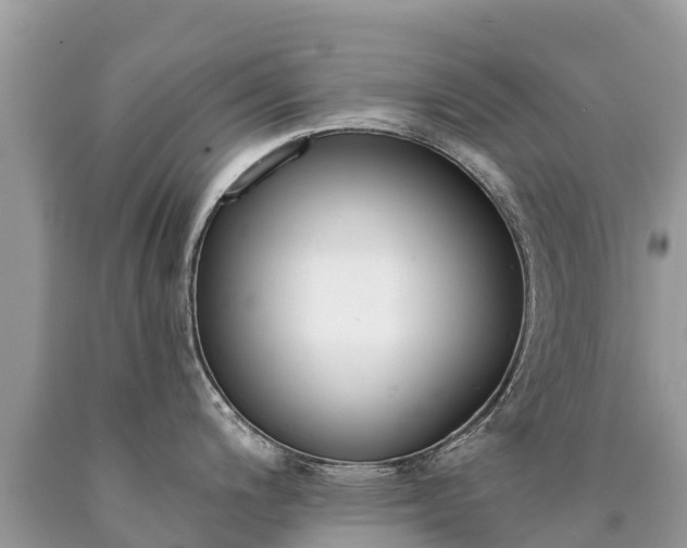 X0000090781200200707201128