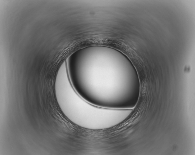 X0000090781202200707201128